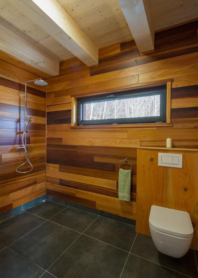 Apartman Nezichov 2 U Polocka Touzim Exterior photo